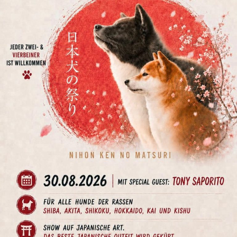 Japan-Sommer-Show-Alsfeld