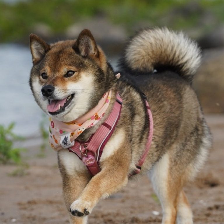 Maddy05-3