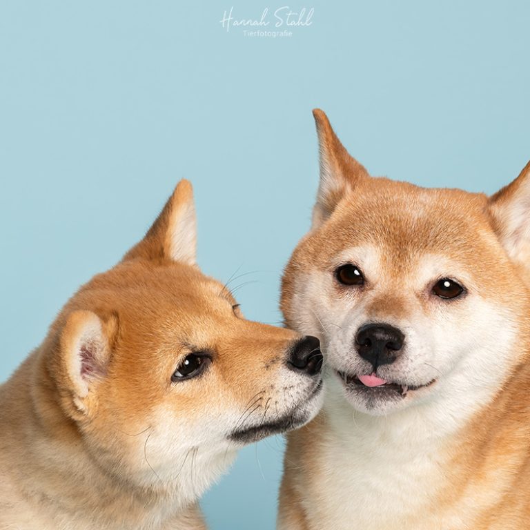 Yuna und Gaijin 4 web-4
